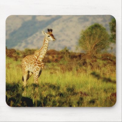 Baby giraffe wildlife mousepads by Rowood