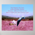 Baby Girl baby shower poster