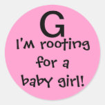 Baby Girl Baby Shower Stickers