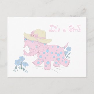 Baby Girl Birth Announcement Postcard