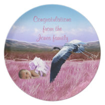 Baby Girl congratulations plates