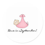 Baby Girl Due in September Stickers