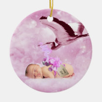Baby girl pink clouds and stork christmas ornament ornaments