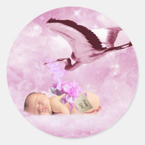 Baby girl pink clouds and stork stickers