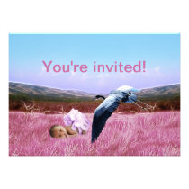 Baby girl shower invitation invitations