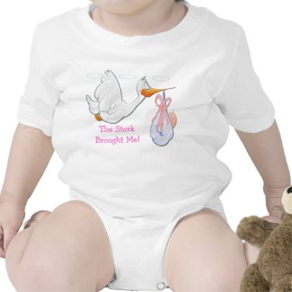 Baby Girl - Stork Infant Creeper