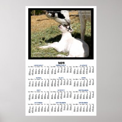 Free Baby Posters on Baby Goat 2011 Poster Calendar From Zazzle Com