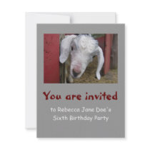 Baby Goat Birthday Party Invitation