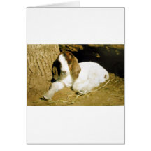 Baby Goat Greeting Card