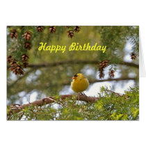 Baby Goldfinch Photo cards