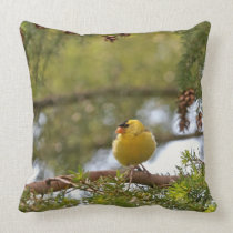 Baby Goldfinch Photo pillows