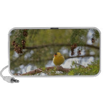 Baby Goldfinch Photo Travel Speakers