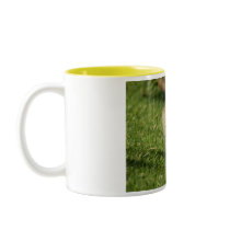 Baby Goose Looking at a Baby Mushroom Coffee Mug