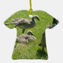 Baby Goose Stretch Ornament