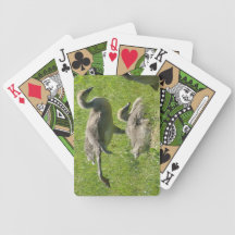 Baby Goose Stretch Playing Cards