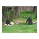 baby gorilla 002 canvas posters by pasta26mc baby gorilla 002 canvas posters