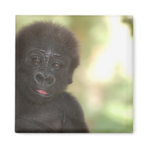 Baby Gorilla Magnet by pulsDesign Baby Gorilla Magnet