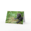 Baby Gorilla Note Card