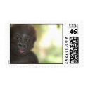 Baby Gorilla Postage postage