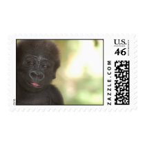 Baby Gorilla Postage postage