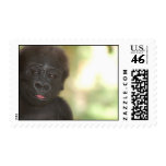 Baby Gorilla Postage