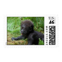 Baby Gorilla Postage Stamp