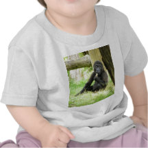 Baby Gorilla Snacking Tee Shirts