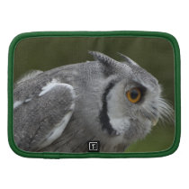Baby Grey Owl Folio Planners
