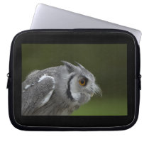 Baby Grey Owl Laptop Sleeves