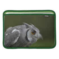 Baby Grey Owl Sleeves For MacBook Air