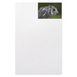 Baby Grey Owl Personalized Stationery