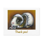 Baby Guinea Pig Post Card