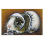 Baby Guinea Pig Custom Stationery