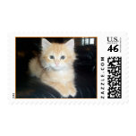 Baby Guinness Postage Stamp