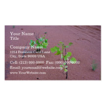 Baby gum trees business cards
