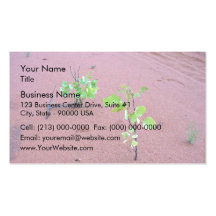 Baby gum trees business cards
