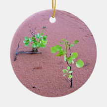 Baby gum trees ornament
