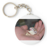 baby_hamster_eating_chips key chains
