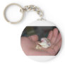 baby_hamster_eating_chips key chains