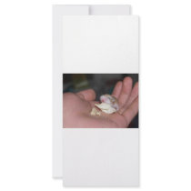 baby_hamster_eating_chips custom rack card