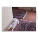 baby hank asleep in hall cards