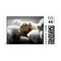 baby, happy birthday, dogs stamps