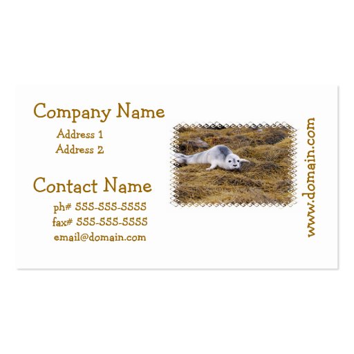 Baby Harbor Seal Business Cards