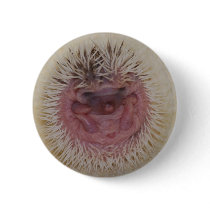 Baby Hedgehog Ball Buttons
