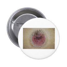Baby Hedgehog Ball Button