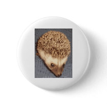baby hedgehog buttons