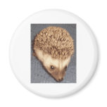 baby hedgehog refrigerator magnets