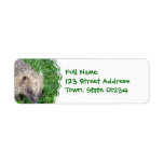 Baby Hedgehog Mailing Label