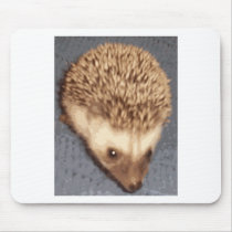 baby hedgehog mousepads