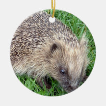Baby Hedgehog Ornament